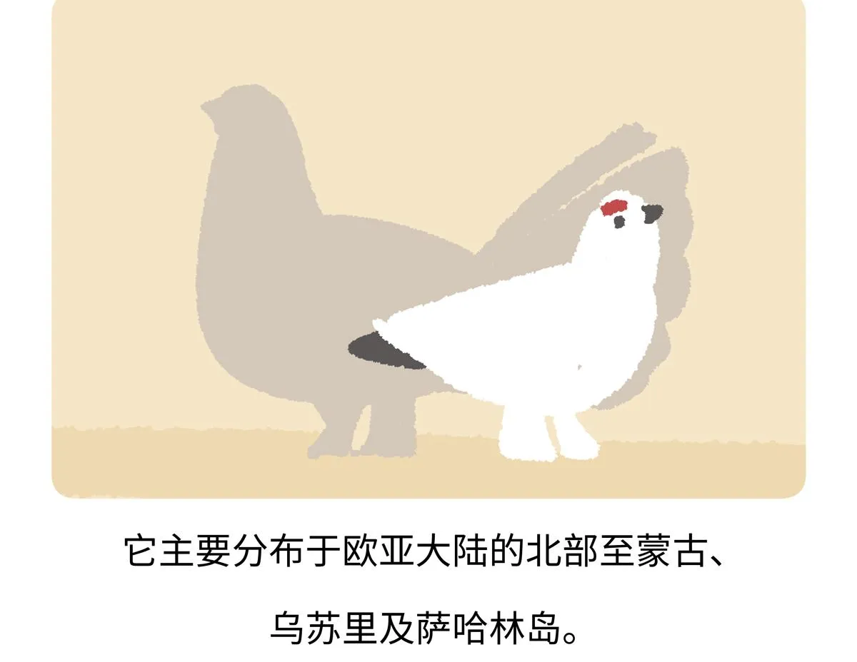 第281话 第21页
