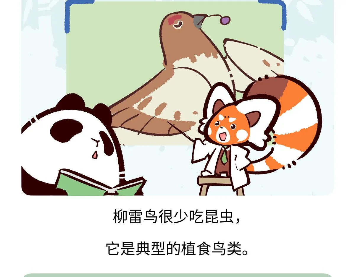 第282话 第19页
