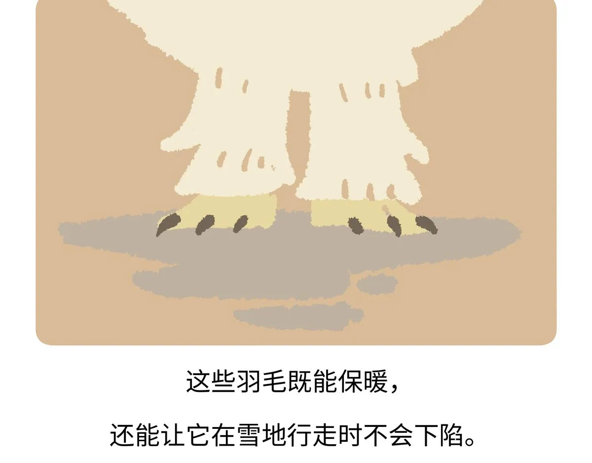 第282话 第27页