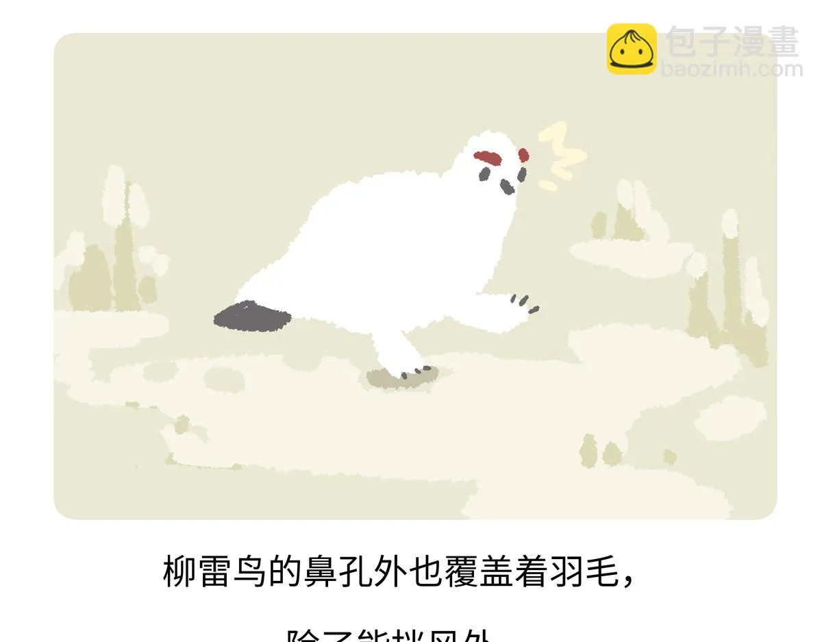 第282话 第29页