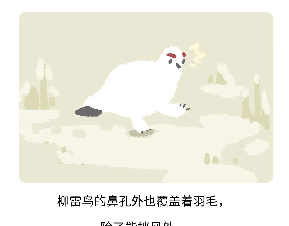第282话 第32页