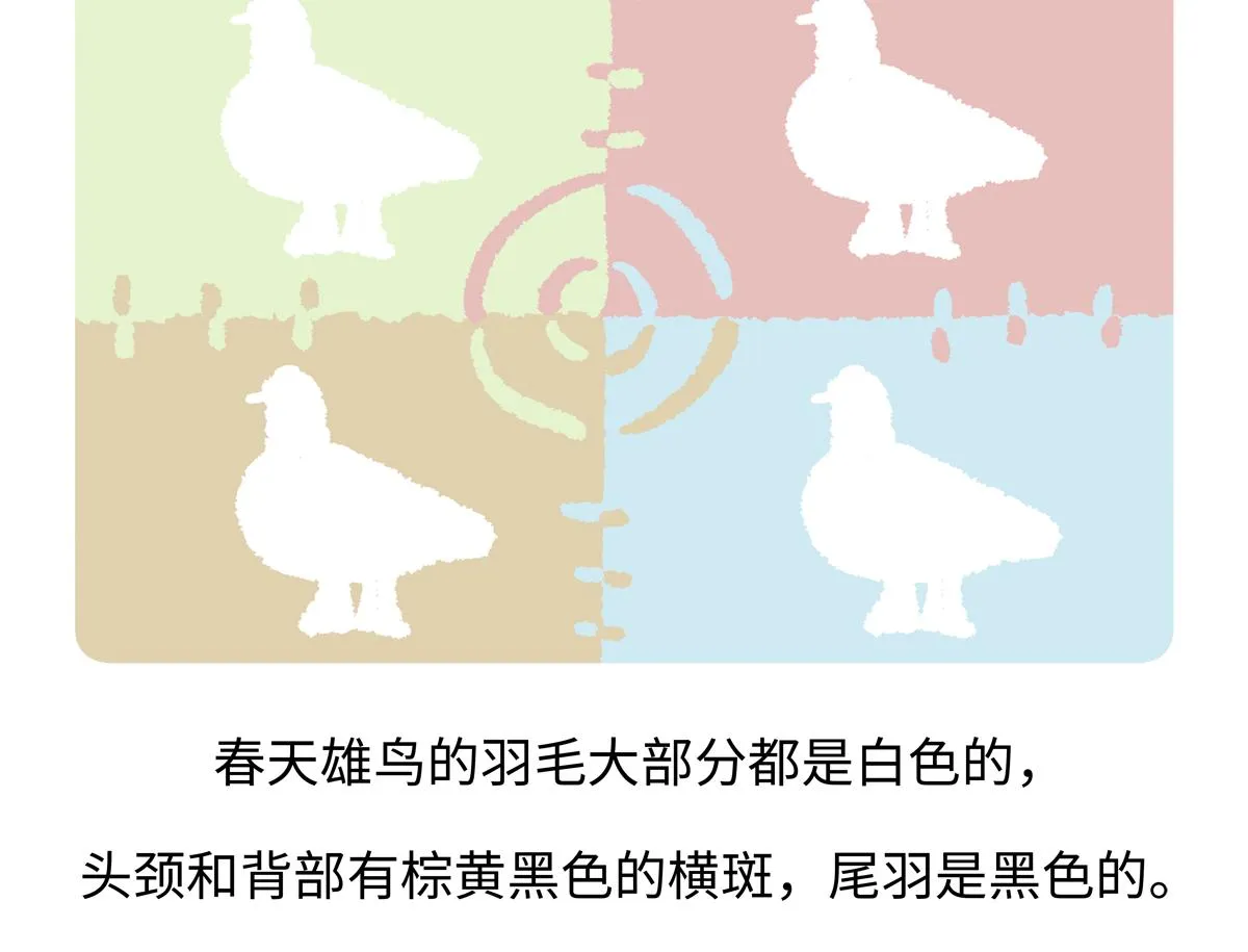 第283话 第19页