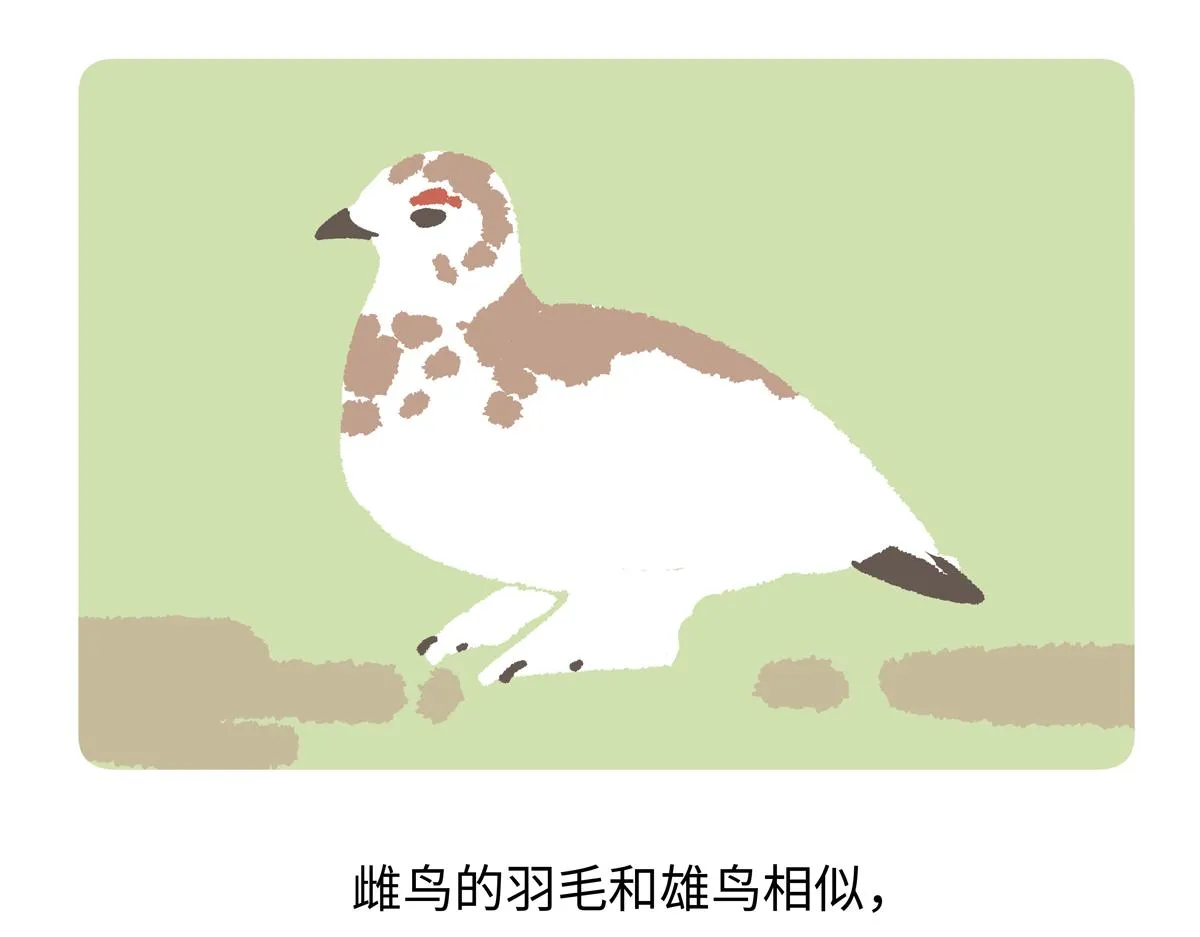 第283话 第20页