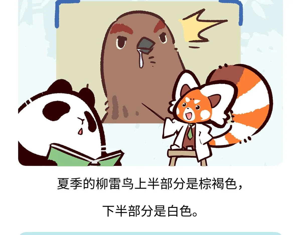 第283话 第24页