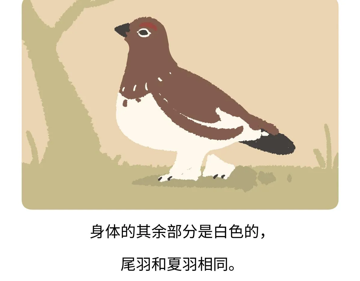第284话 第20页