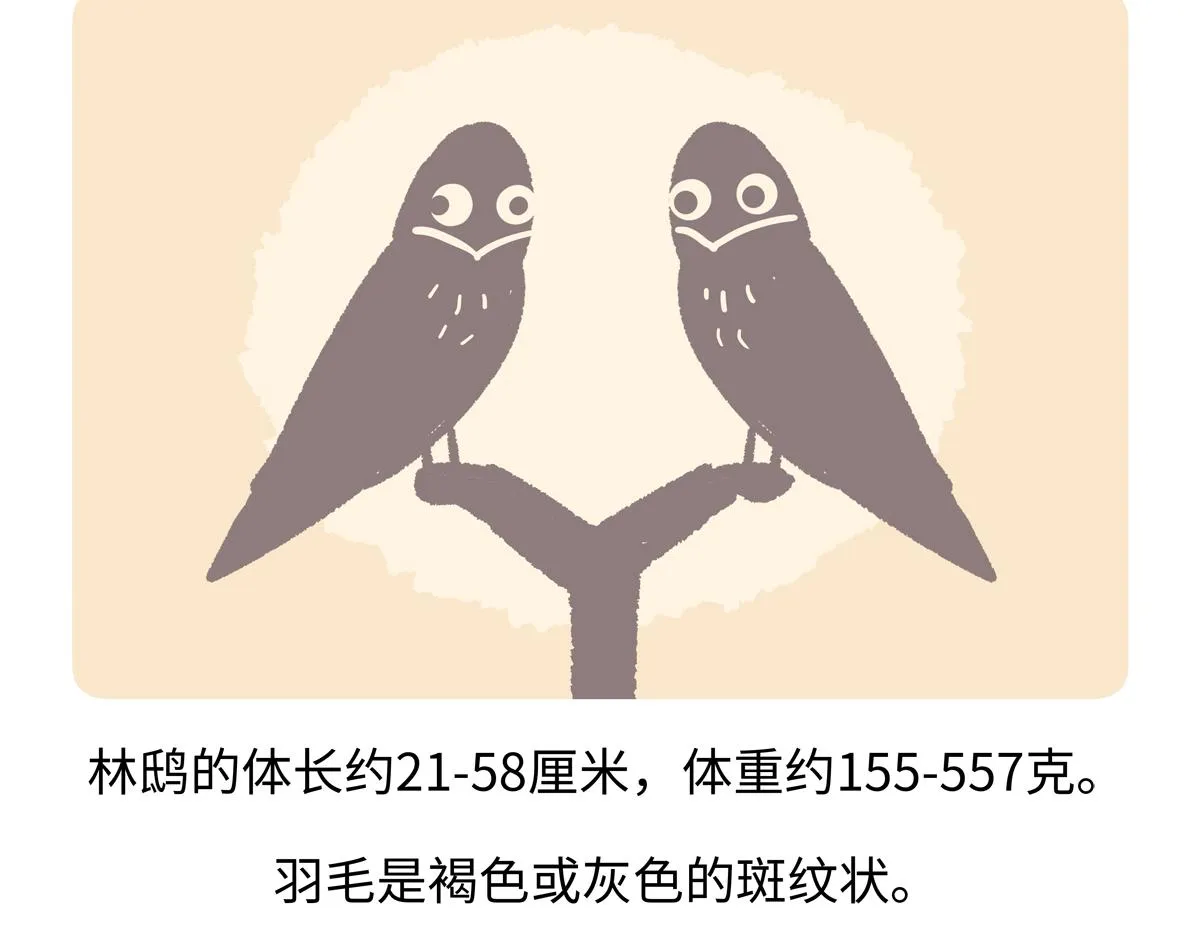 第285话 第19页
