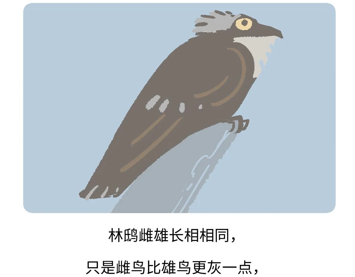 第285话 第21页