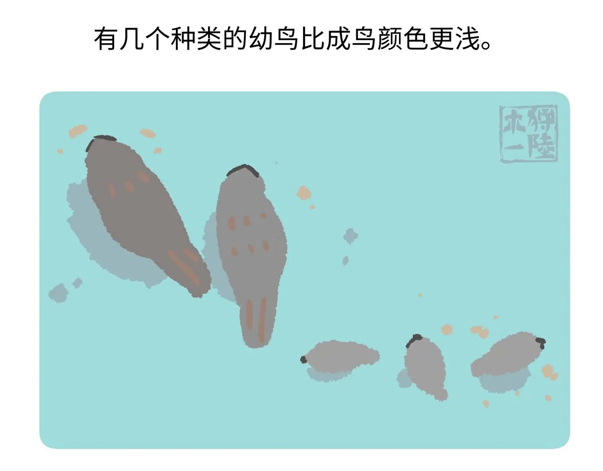 第285话 第22页