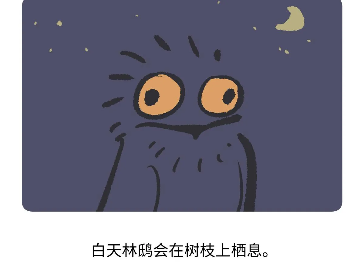 第286话 第19页