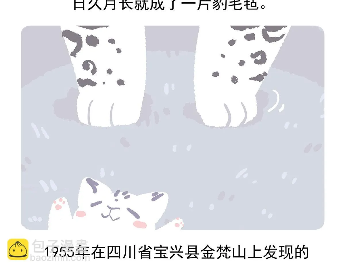 第95话 第28页