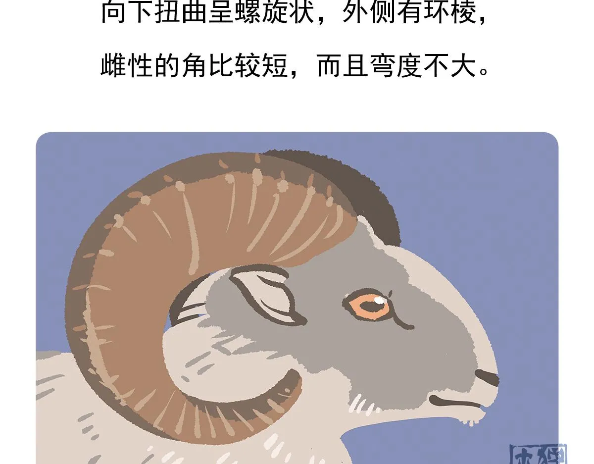 第93话 第33页