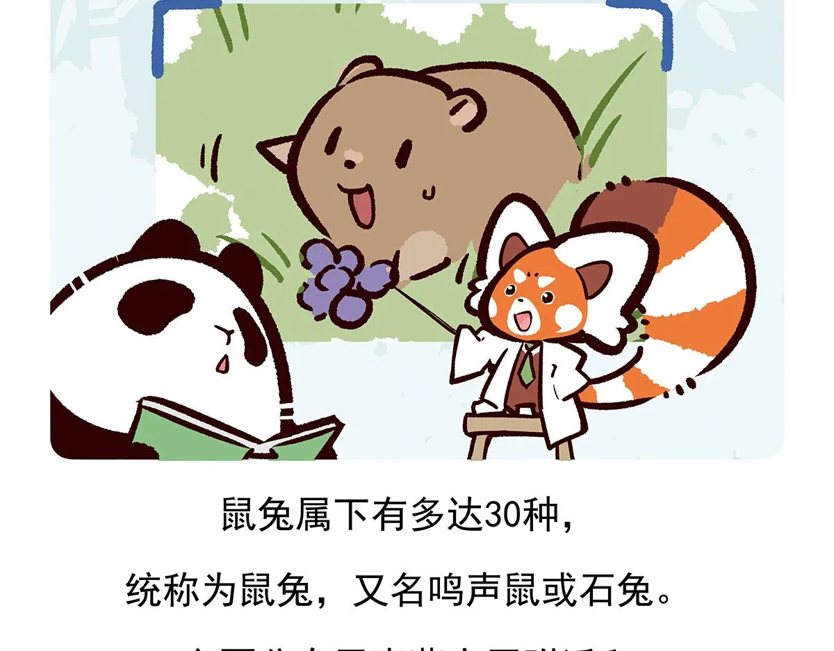 第91话 第20页