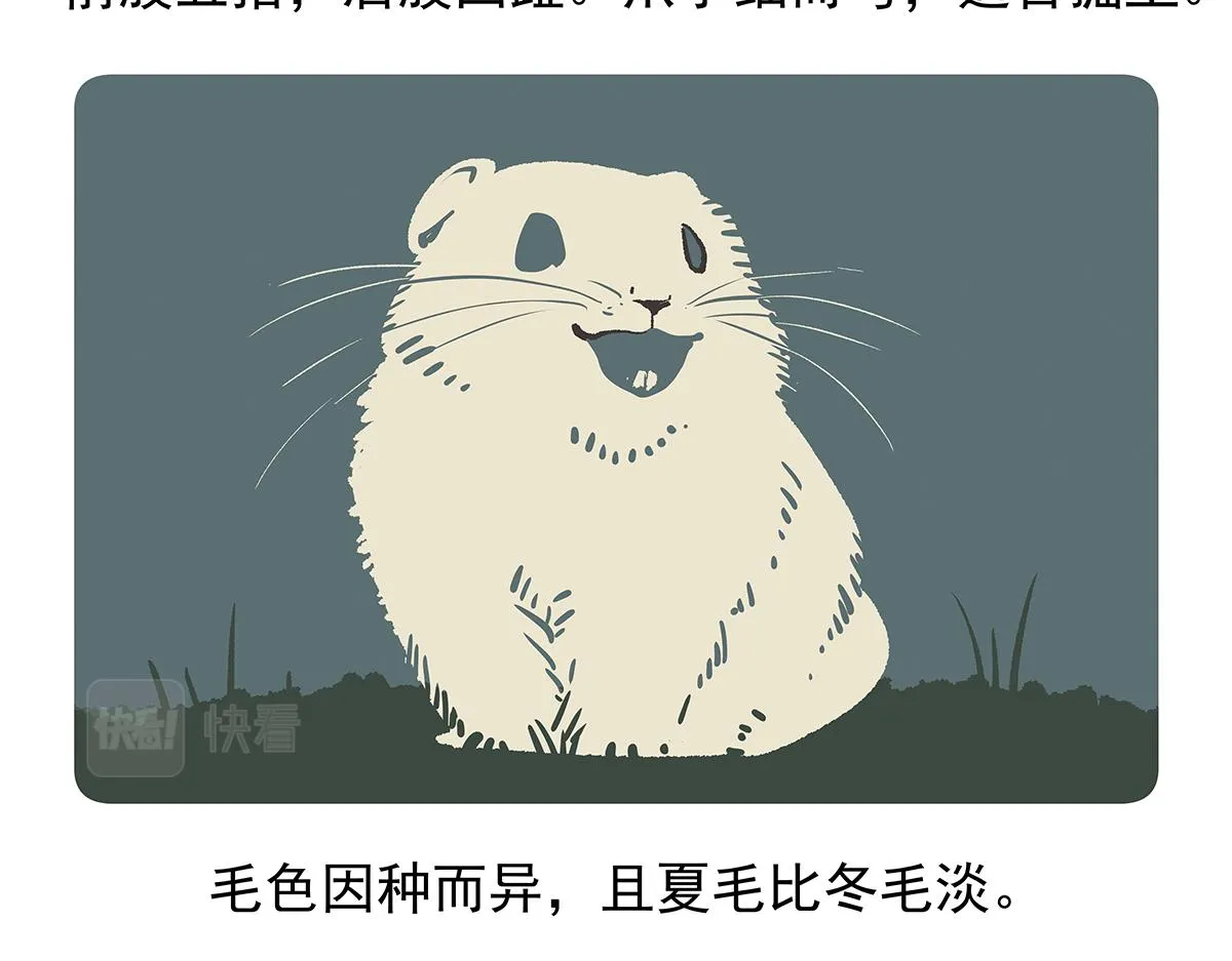 第91话 第24页