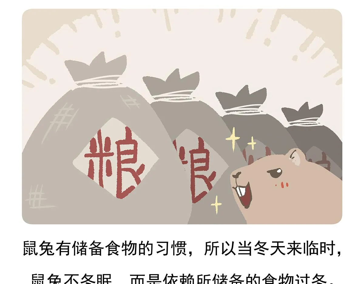 第91话 第31页