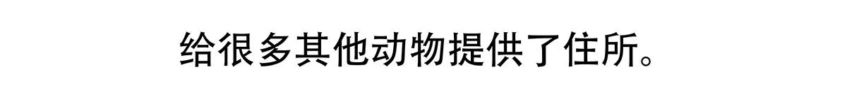 第89话 第29页