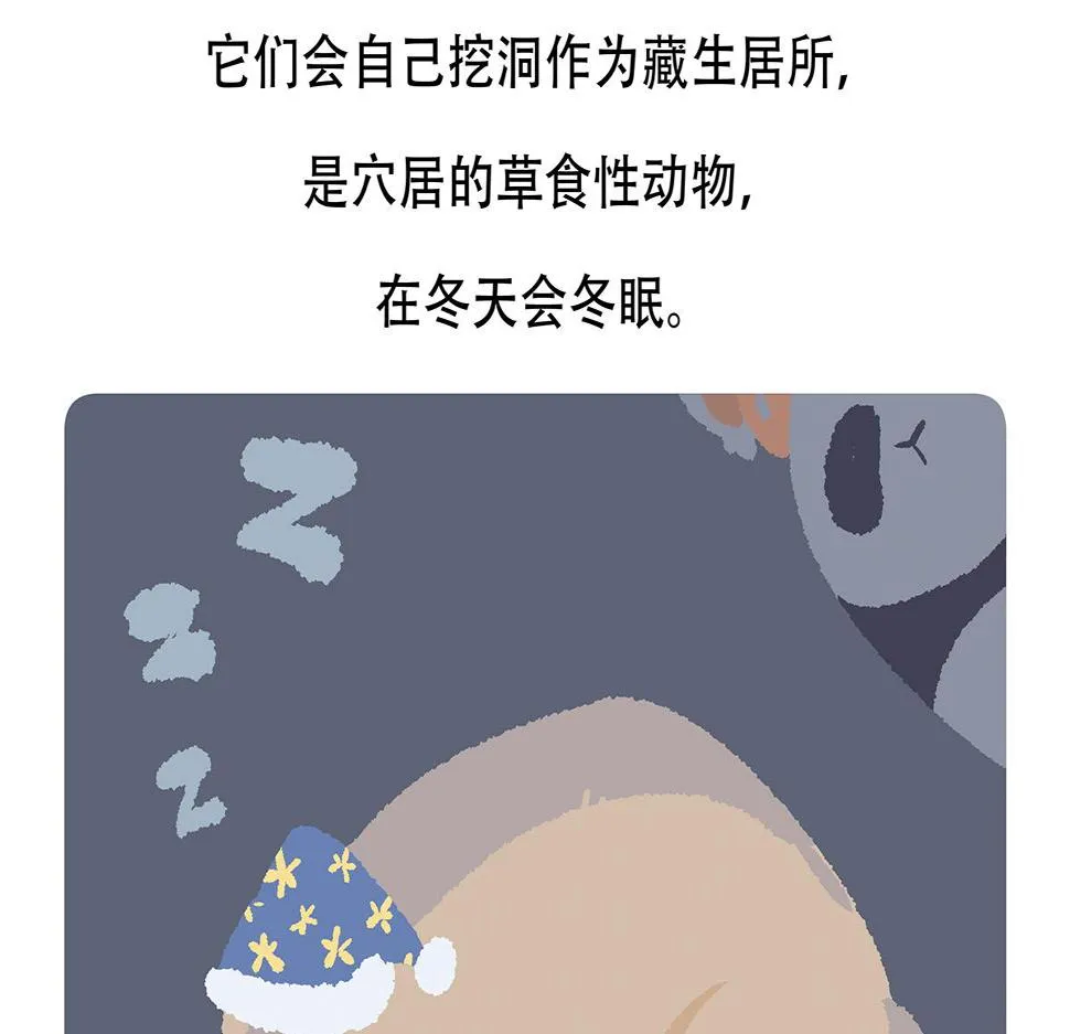 第88话 第28页