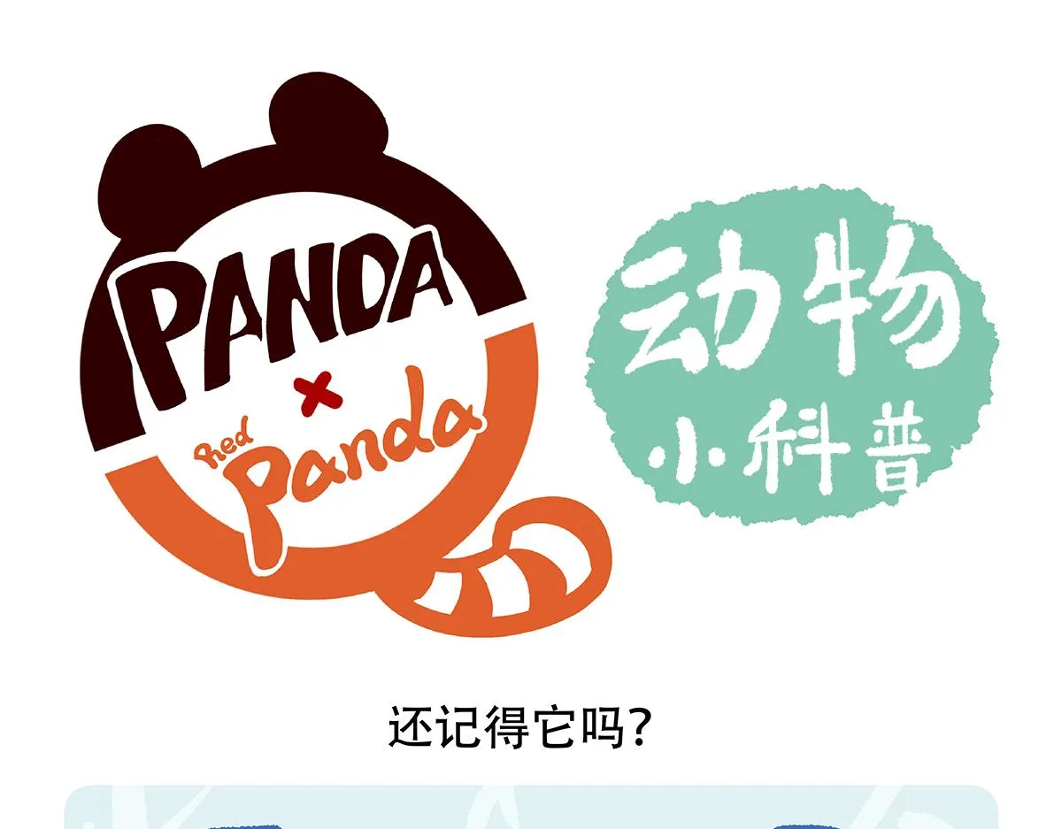 第87话 第19页