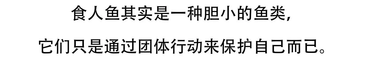 第87话 第22页