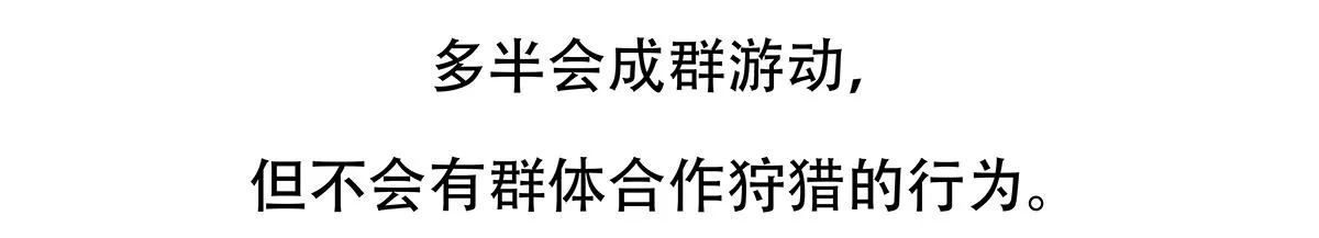 第87话 第30页