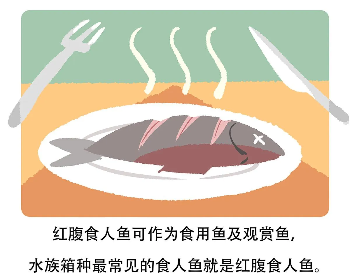 第87话 第31页