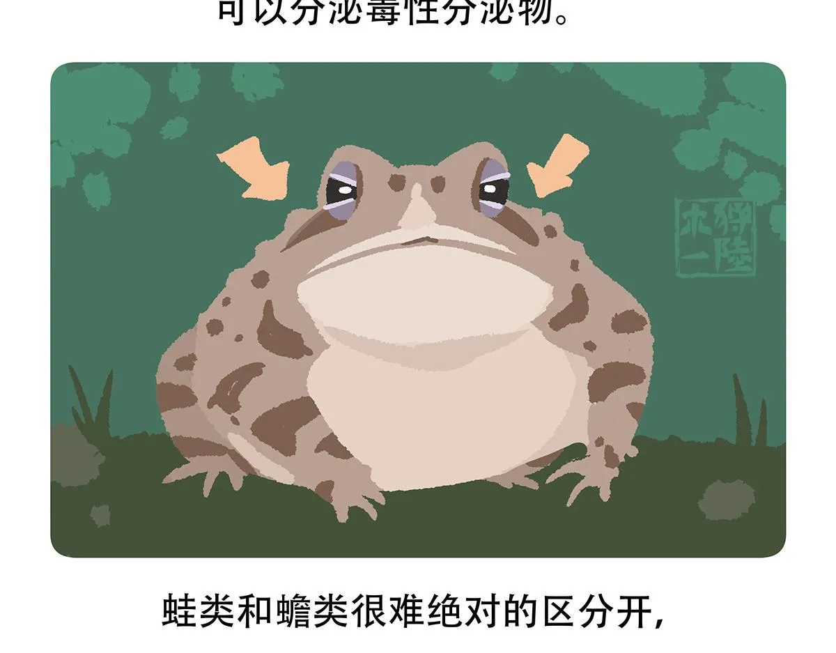 第86话 第28页