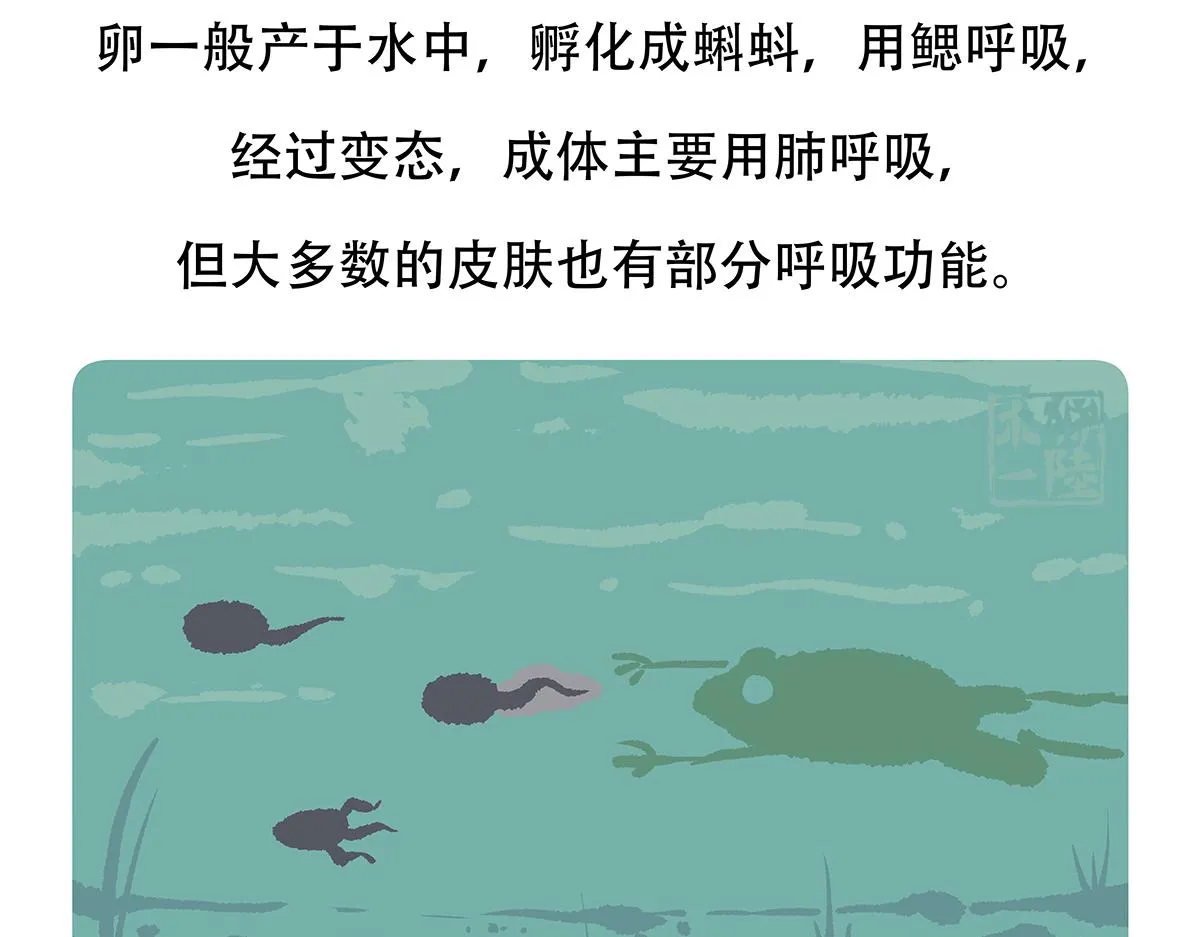 第85话 第28页