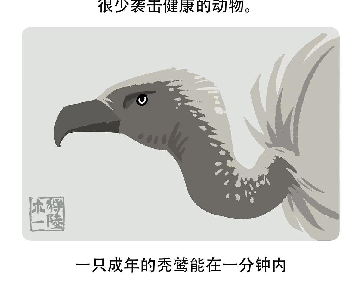 第84话 第28页