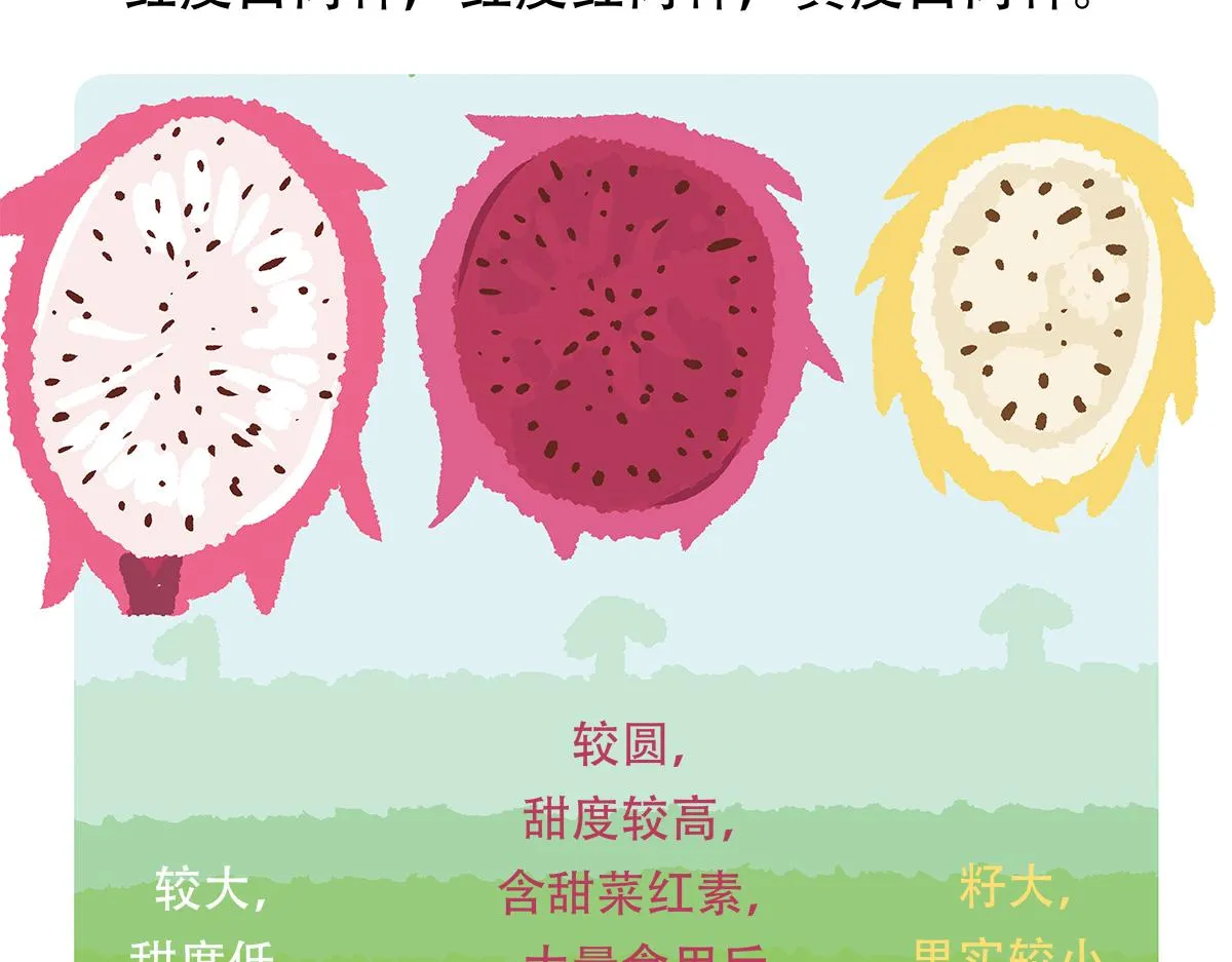 第78话 第30页