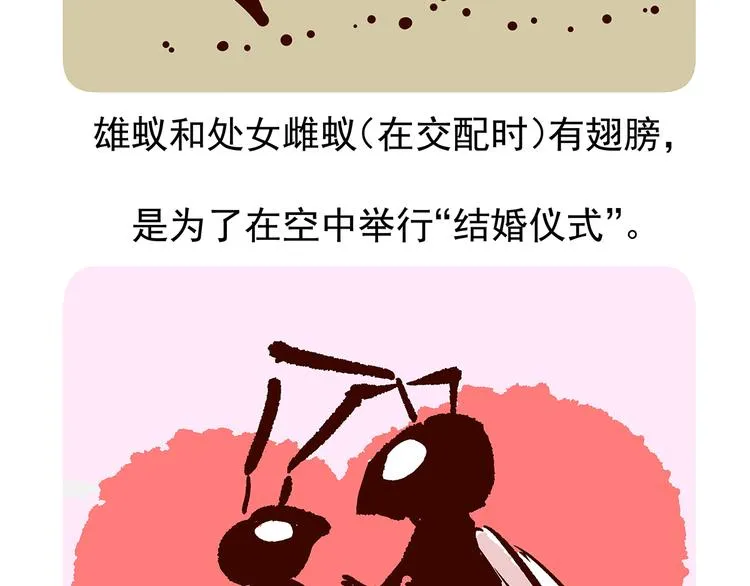第11话 第21页