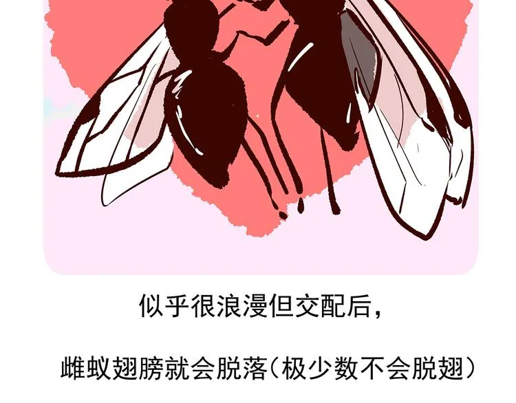 第11话 第22页