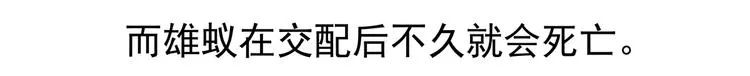 第11话 第23页