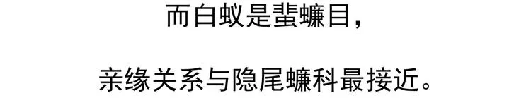 第11话 第28页