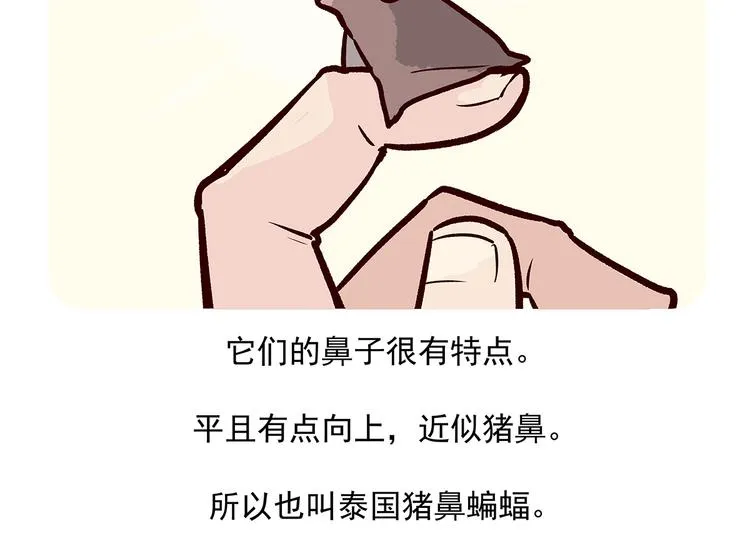第14话 第31页