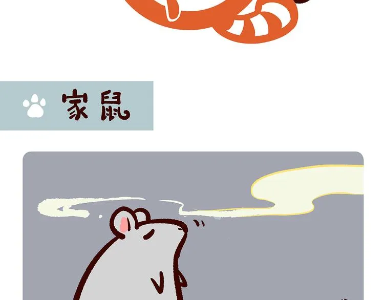 第26话 第17页