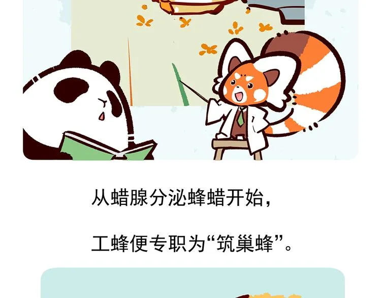 第26话 第31页