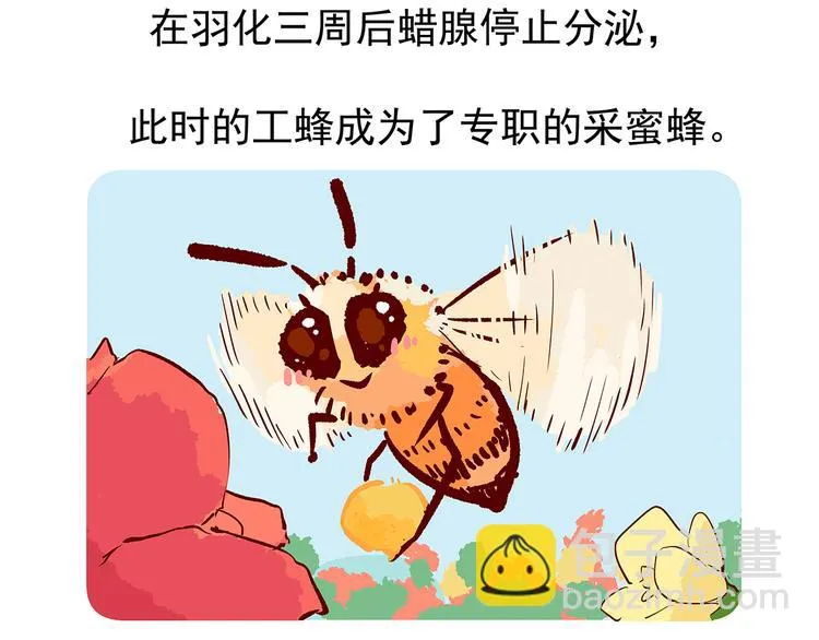第26话 第34页