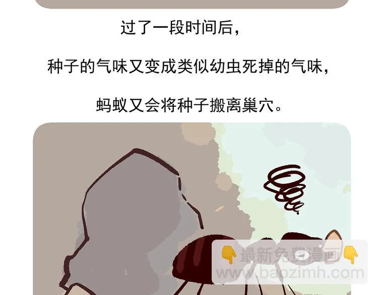 第28话 第32页