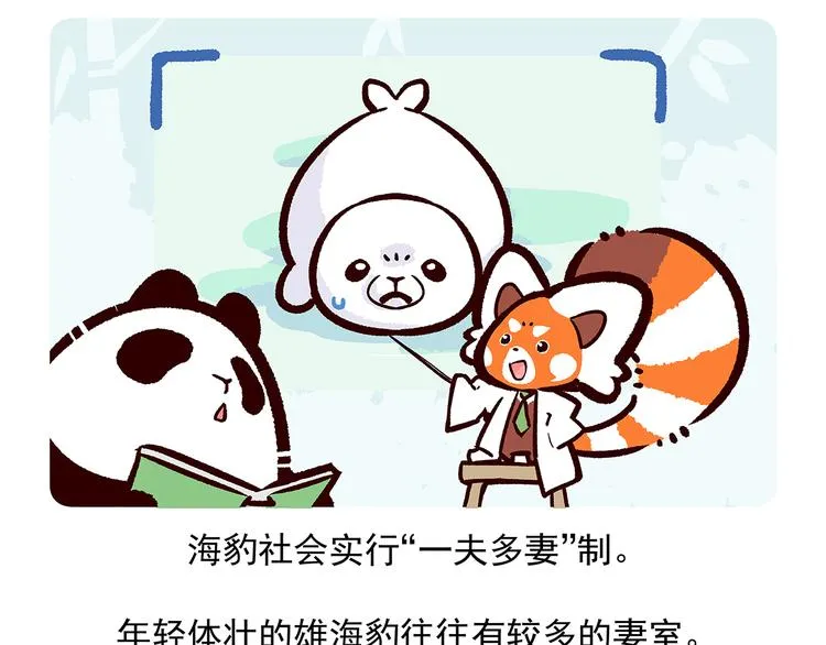 第29话 第28页