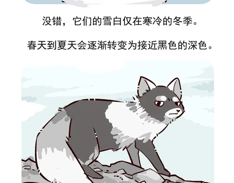 第31话 第25页