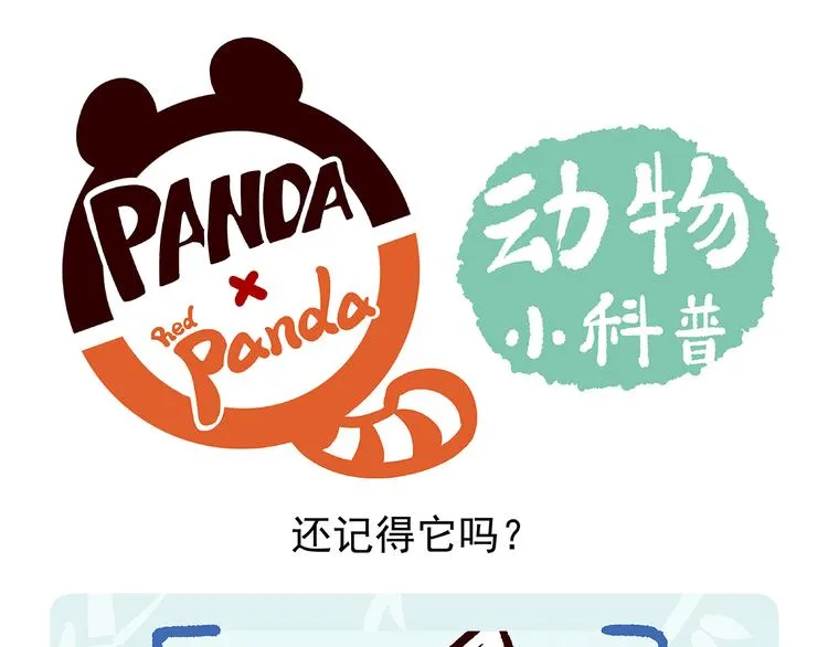 第31话 第29页