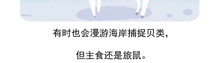 第31话 第32页