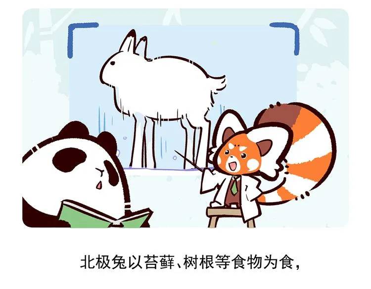 第33话 第19页