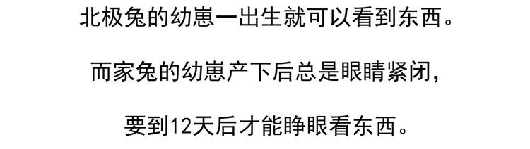 第33话 第23页