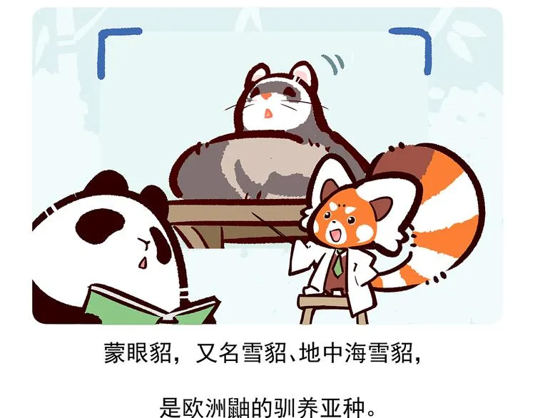 第34话 第14页