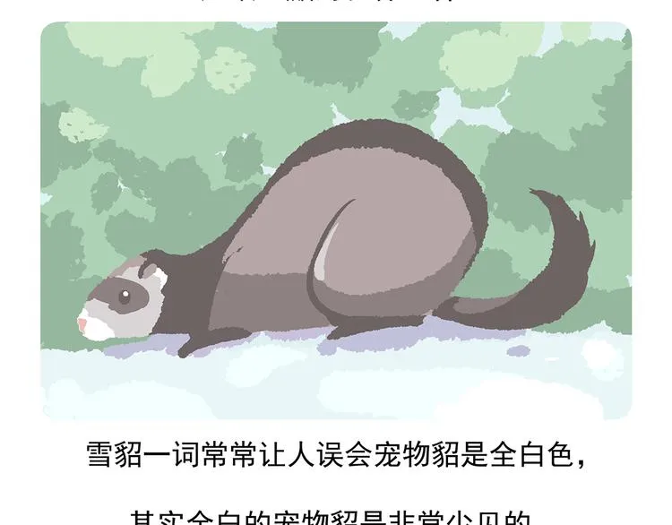 第34话 第15页