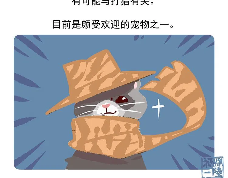 第34话 第17页