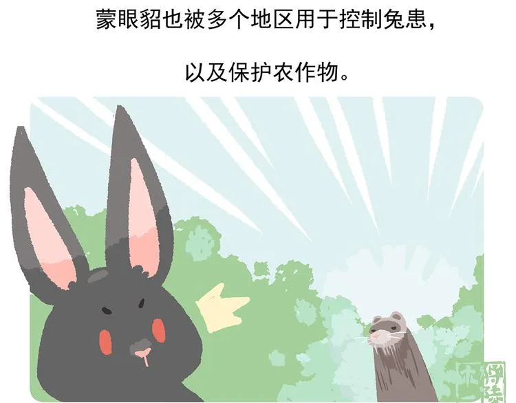 第34话 第24页