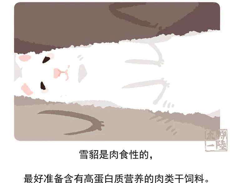 第34话 第31页
