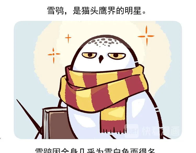 第35话 第21页
