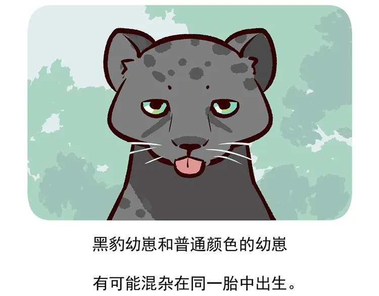 第35话 第30页